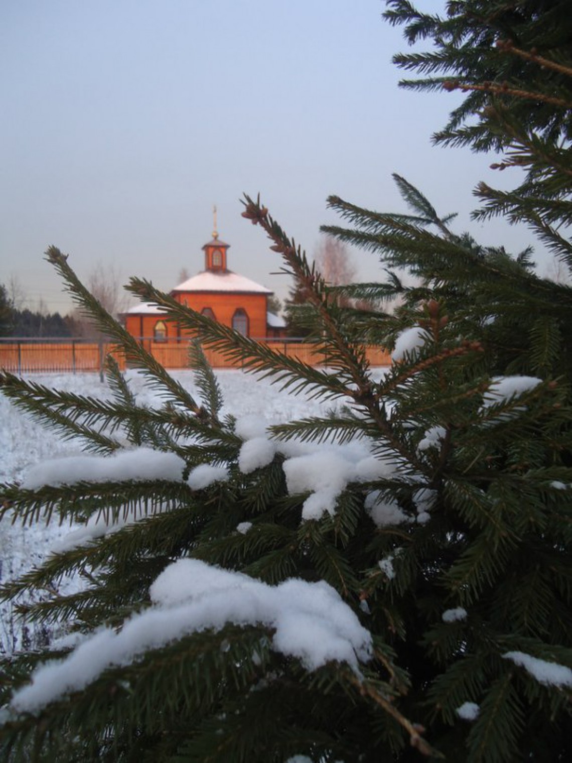 cover photo