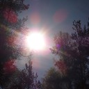 Солнце в лесу 30.04.2014