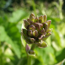 P6302447