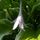 P6302450