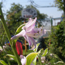 P6302448