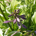 P6302449